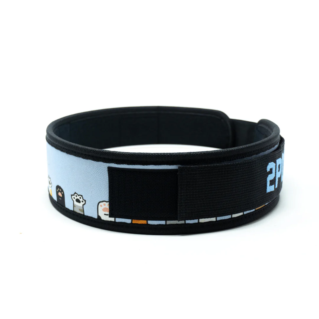 3" Petite I'm Feline Good Weightlifting Belt - Image 4
