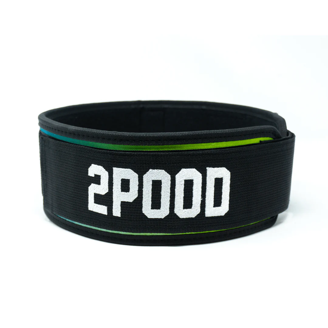 Golden Retriever 4" Weightlifting Belt - Image 6