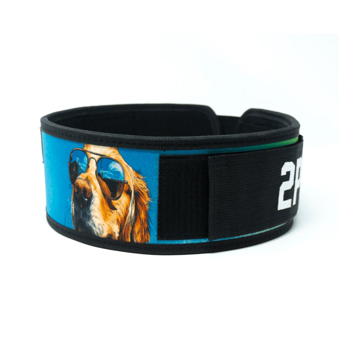 Golden Retriever 4" Weightlifting Belt - Image 7